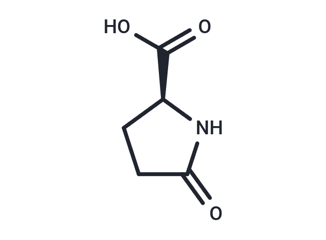 L-Pyroglutamic acid