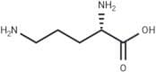 L-Ornithine