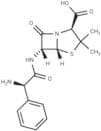 Ampicillin
