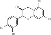 Catechin