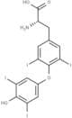 L-Thyroxine