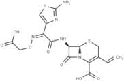 Cefixime