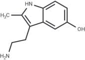2-Methyl-5-HT