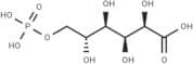 6-Phosphogluconic acid
