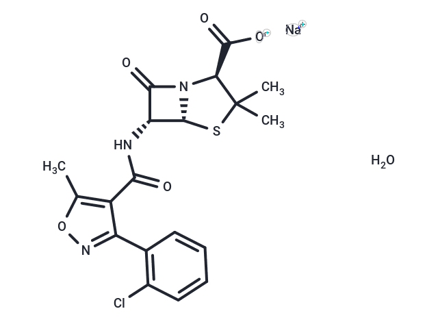 Cloxacillin sodium monohydrate