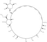 Amphotericin B methyl ester