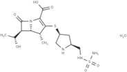 Doripenem monohydrate
