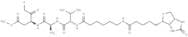 Biotin-VAD-FMK