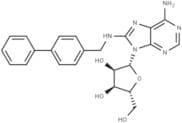 CNT2 inhibitor-1