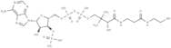 Coenzyme A