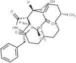 Dihydrocytochalasin B