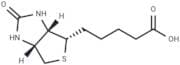 Biotin