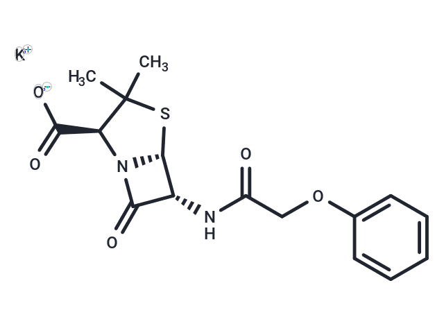 Penicillin V Potassium