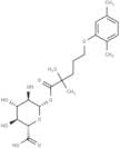 Gemfibrozil 1-O-β-glucuronide