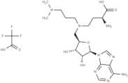 GSK2807 Trifluoroacetate