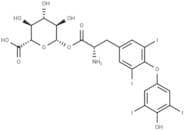 Levothyroxine acyl glucuronide