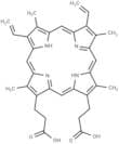 Protoporphyrin IX