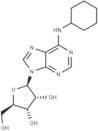 N6-Cyclohexyladenosine