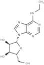 N6-Ethyladenosine