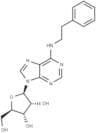 N6-(2-Phenylethyl)adenosine
