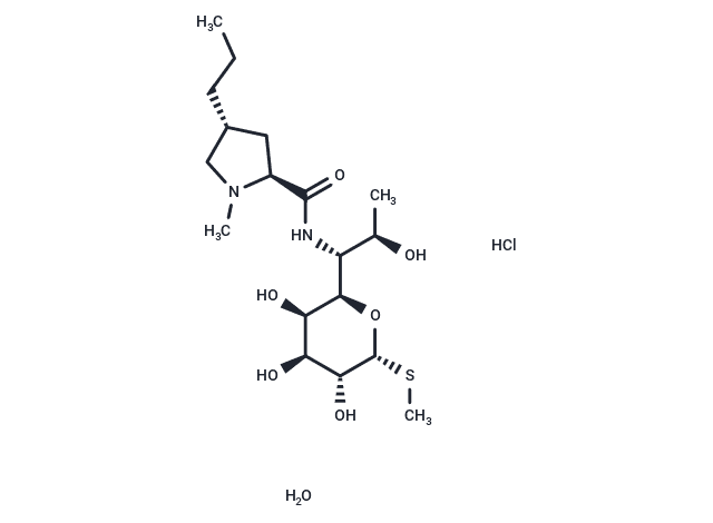 Lincomycin hydrochloride monohydrate