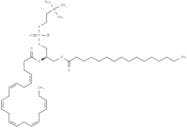 Palmitoyldocosahexaenoyl phosphatidylcholine