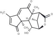 Laurycolactone B