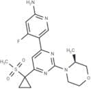 PI3K/mTOR Inhibitor-1
