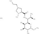 Lincomycin hydrochloride