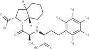 Trandolaprilate D5