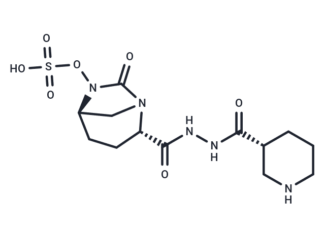 Zidebactam