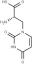 (S)-Willardiine
