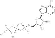 ATP disodium salt