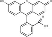 Fluorescein