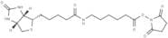 Biotin-C5-NHS Ester