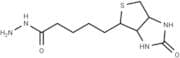 Biotin Hydrazide