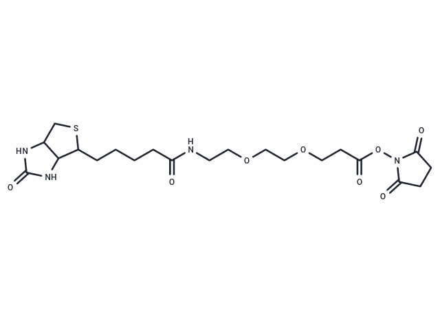 Biotin-PEG2-NHS ester