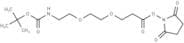 Boc-NH-PEG2-C2-NHS ester