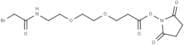 Bromoacetamido-PEG2-C2-NHS ester