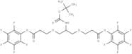 C-NH-Boc-C-Bis-(C1-PEG1-PFP)