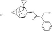 Cimetropium Bromide