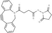 DBCO-NHS ester