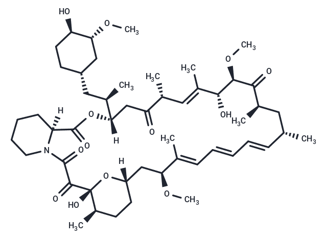 Rapamycin