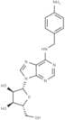 N-[(4-Aminophenyl)methyl]adenosine