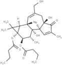 Phorbol 12,13-dibutyrate