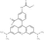 Tetramethylrhodamine-5-iodoacetamide