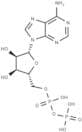 Adenosine 5'-diphosphate