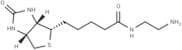 Biotin-EDA