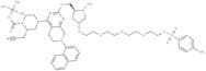 K-Ras ligand-Linker Conjugate 3