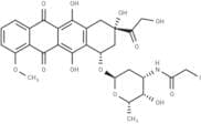 N-(Iodoacetamido)-Doxorubicin